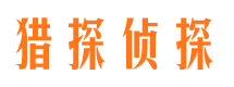 大东侦探公司